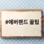 에버랜드 꿀팁