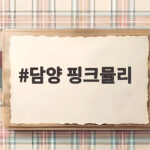 담양 핑크뮬리