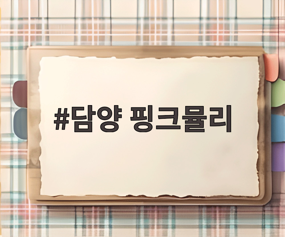 담양 핑크뮬리