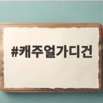 캐주얼가디건