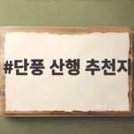 단풍 산행 추천지