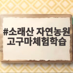 소래산 자연농원 고구마체험학습