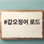 갑오징어 로드