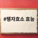 탱자효소 효능