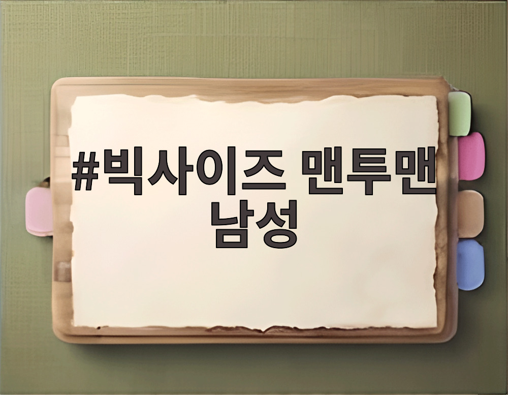 빅사이즈 맨투맨 남성