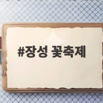 장성 꽃축제