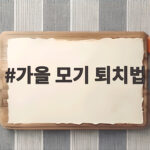 가을 모기 퇴치법