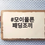 모이몰른 패딩조끼