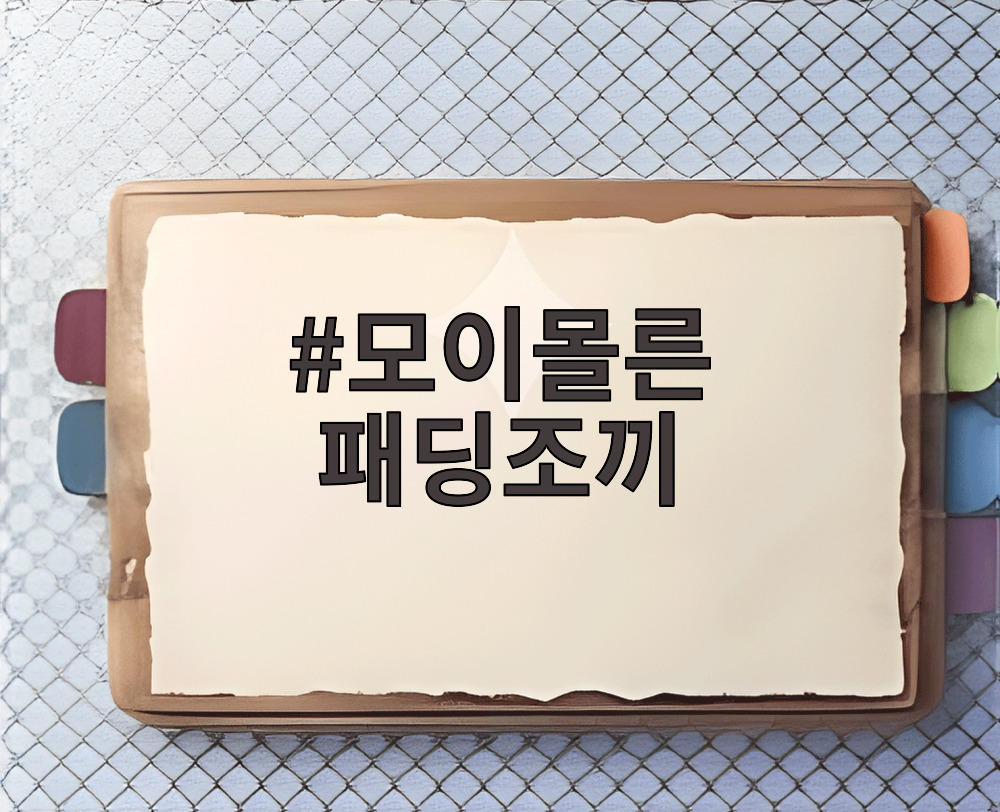 모이몰른 패딩조끼