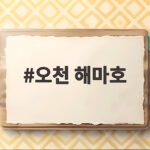 오천 해마호 쭈갑낚시 배 타기 전에 알아두면 좋은 이야기 오천 해마호