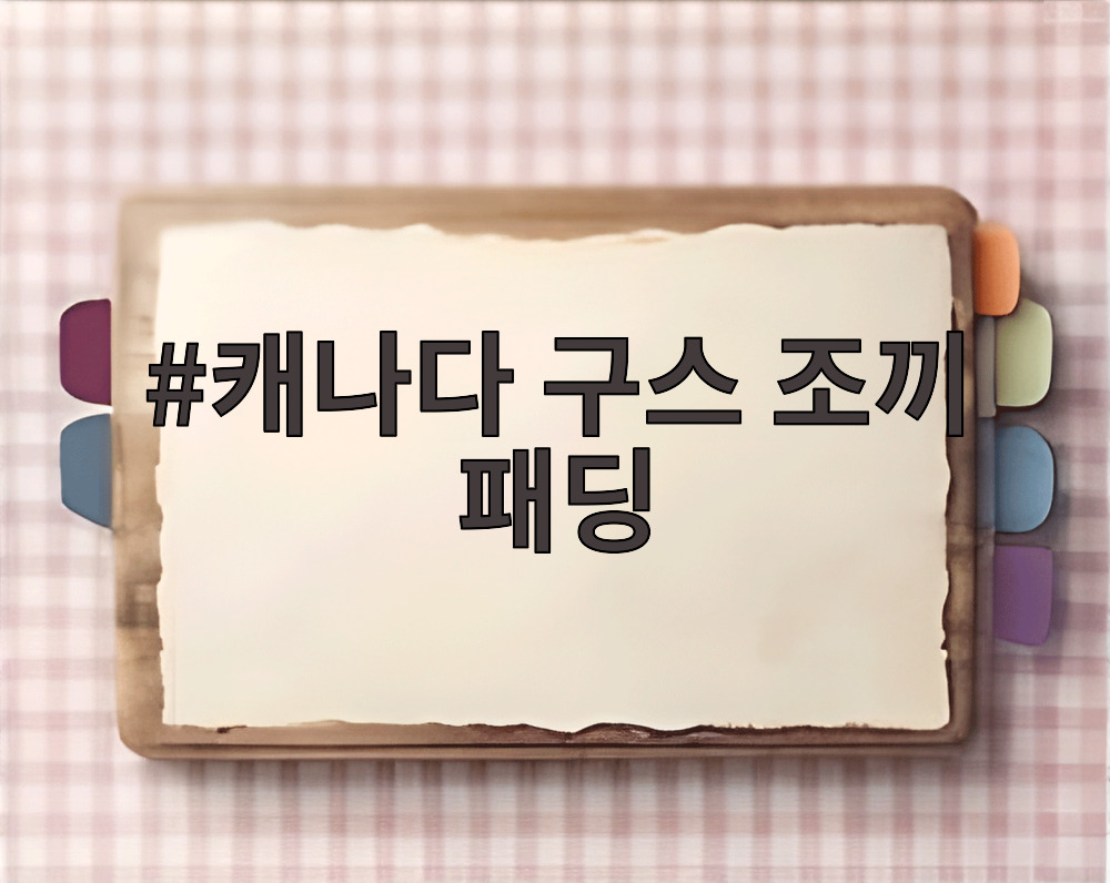 캐나다 구스 조끼 패딩