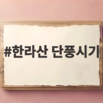 한라산 단풍시기