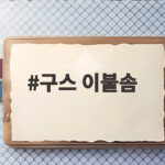 구스 이불솜