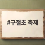 구절초 축제