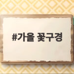 가을 꽃구경