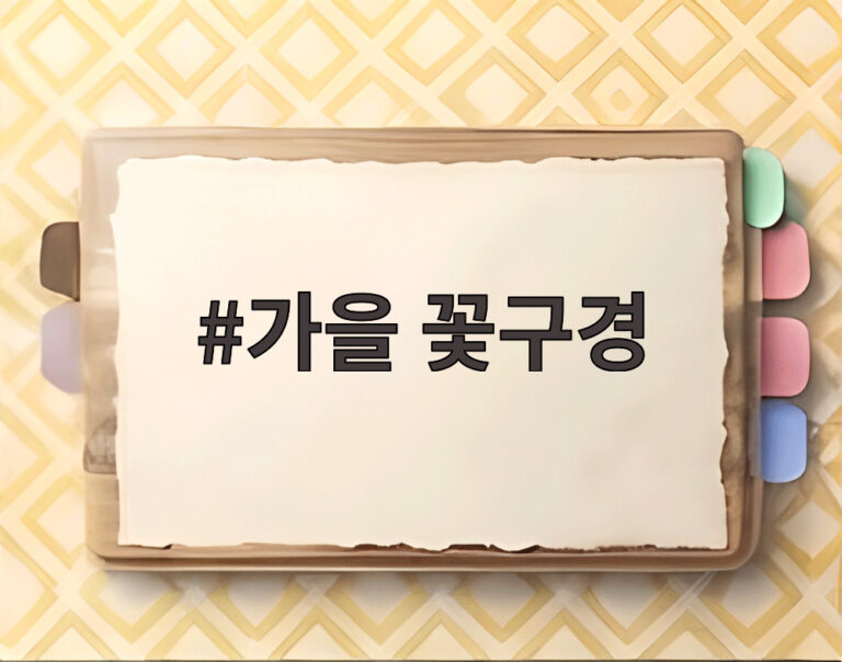가을 꽃구경