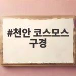 천안 코스모스 구경