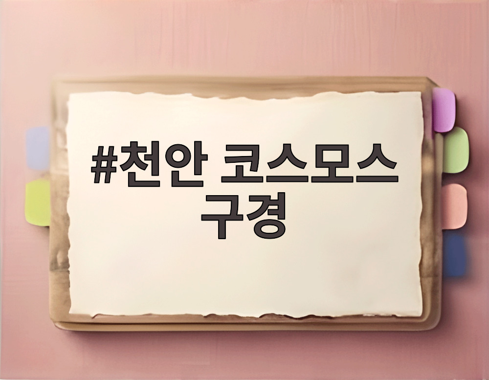 천안 코스모스 구경