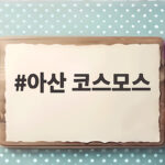 아산 코스모스