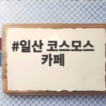 일산 코스모스 카페