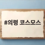 의령 코스모스