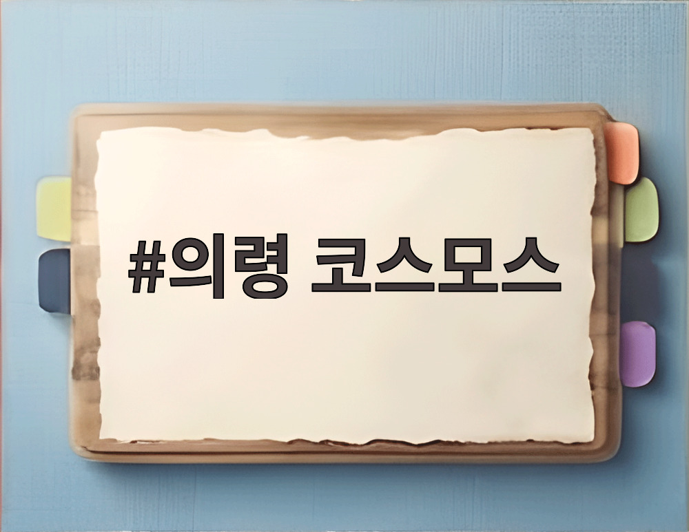 의령 코스모스