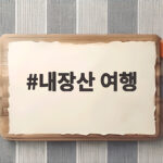 내장산 여행 단풍 시기부터 주차까지 이것만 확인하세요 내장산 여행