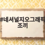 네셔널지오그래픽 조끼 하나면 가을 겨울 코디 고민이 끝납니다 네셔널지오그래픽 조끼