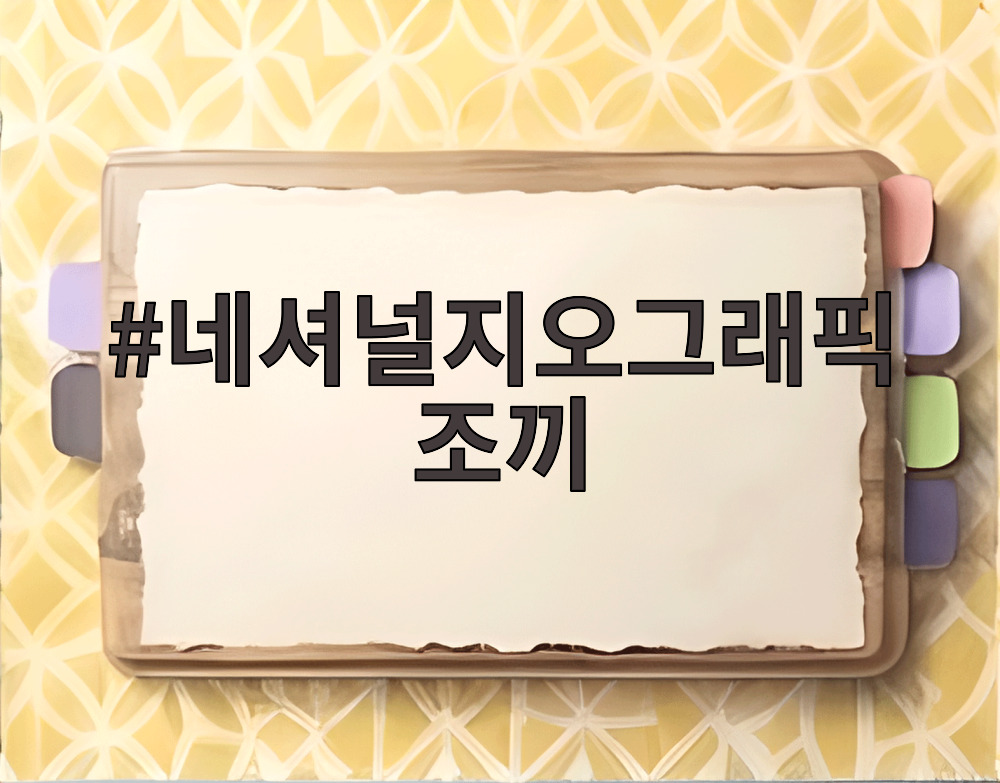 네셔널지오그래픽 조끼