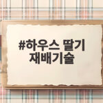 하우스 딸기 재배기술