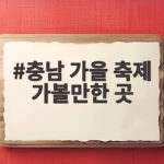 충남 가을 축제 가볼만한 곳
