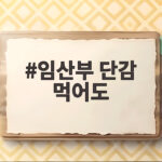 임산부 단감 먹어도 될까 가을 제철 과일 궁금증 정리 임산부 단감 먹어도