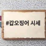 갑오징어 시세 이렇게 확인하니 수산시장 바가지 피할 수 있었어요 갑오징어 시세