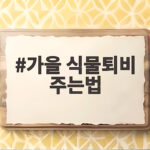 가을 식물퇴비 주는법