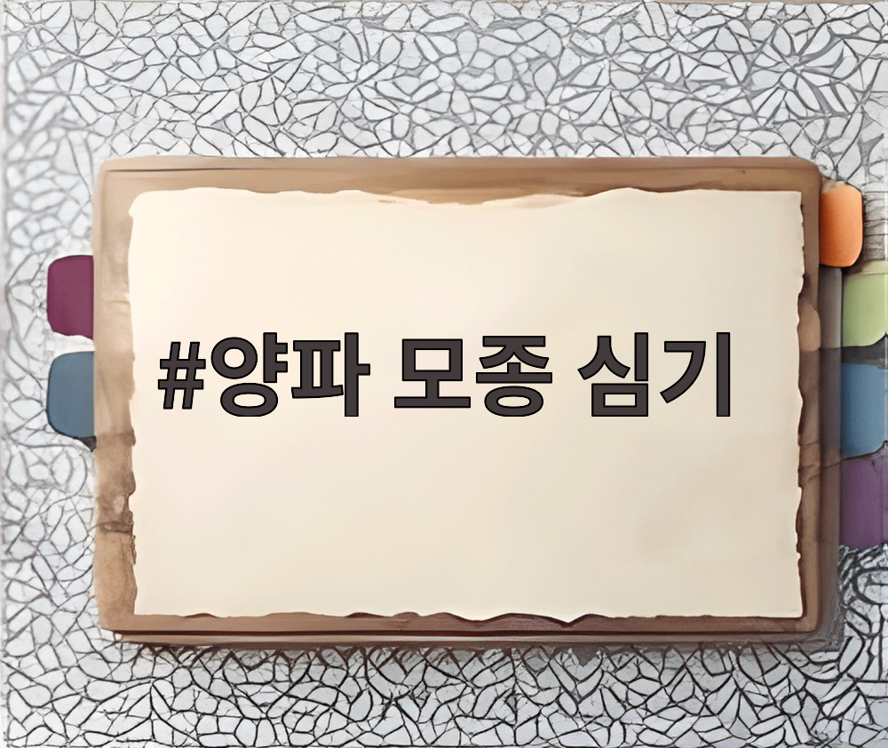 양파 모종 심기