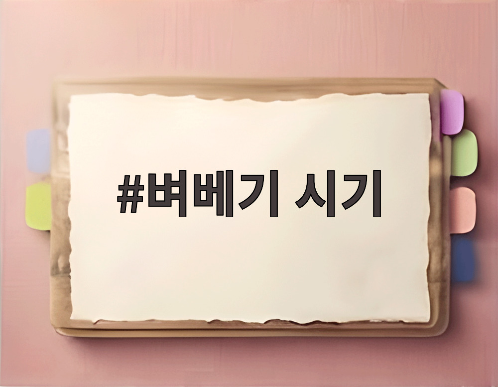 벼베기 시기