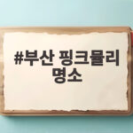 부산 핑크뮬리 명소