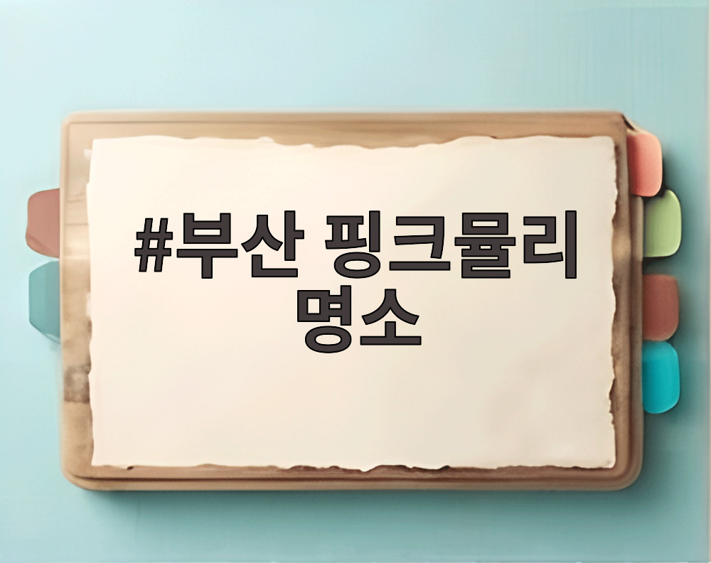 부산 핑크뮬리 명소