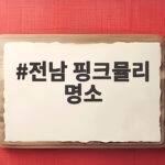 전남 핑크뮬리 명소 가을꽃 물결 따라 떠나는 나들이 전남 핑크뮬리 명소
