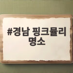 경남 핑크뮬리 명소