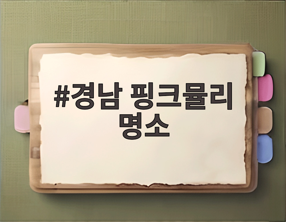 경남 핑크뮬리 명소