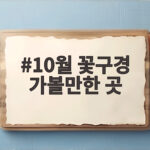 10월 꽃구경 가볼만한 곳
