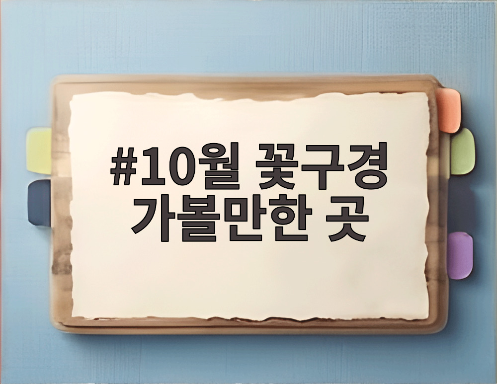 10월 꽃구경 가볼만한 곳