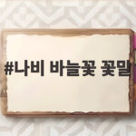 나비 바늘꽃 꽃말