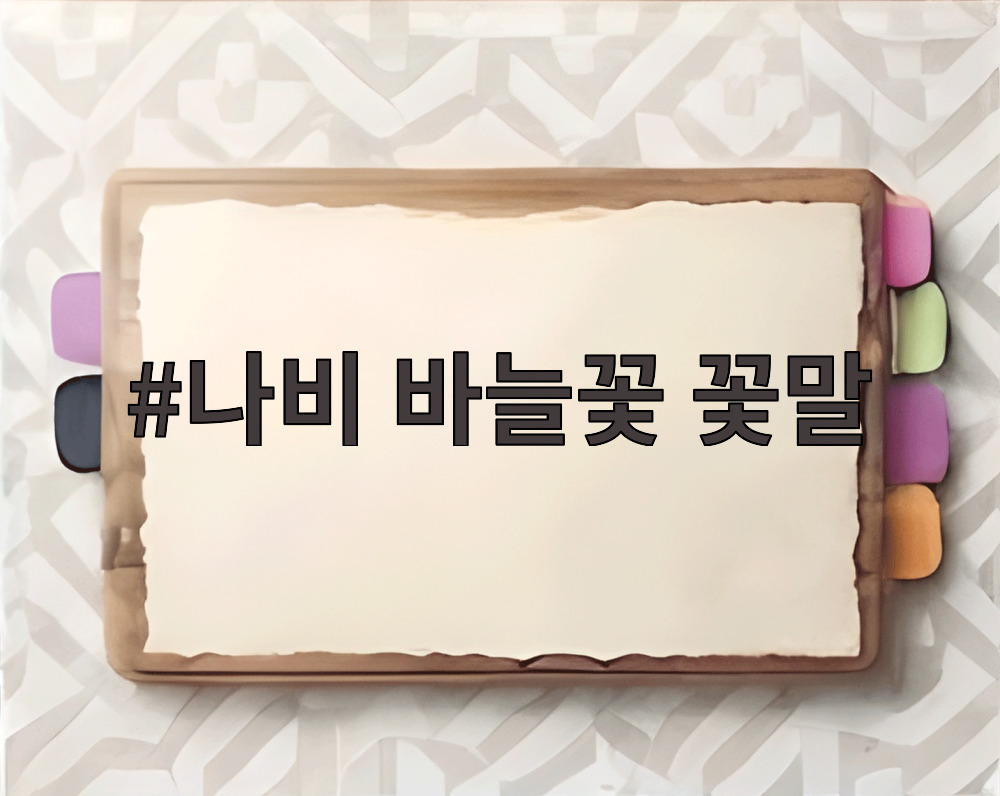 나비 바늘꽃 꽃말