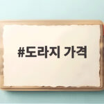 도라지 가격