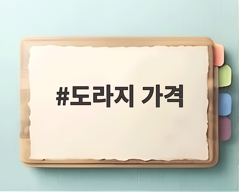 도라지 가격
