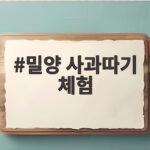 밀양 사과따기 체험