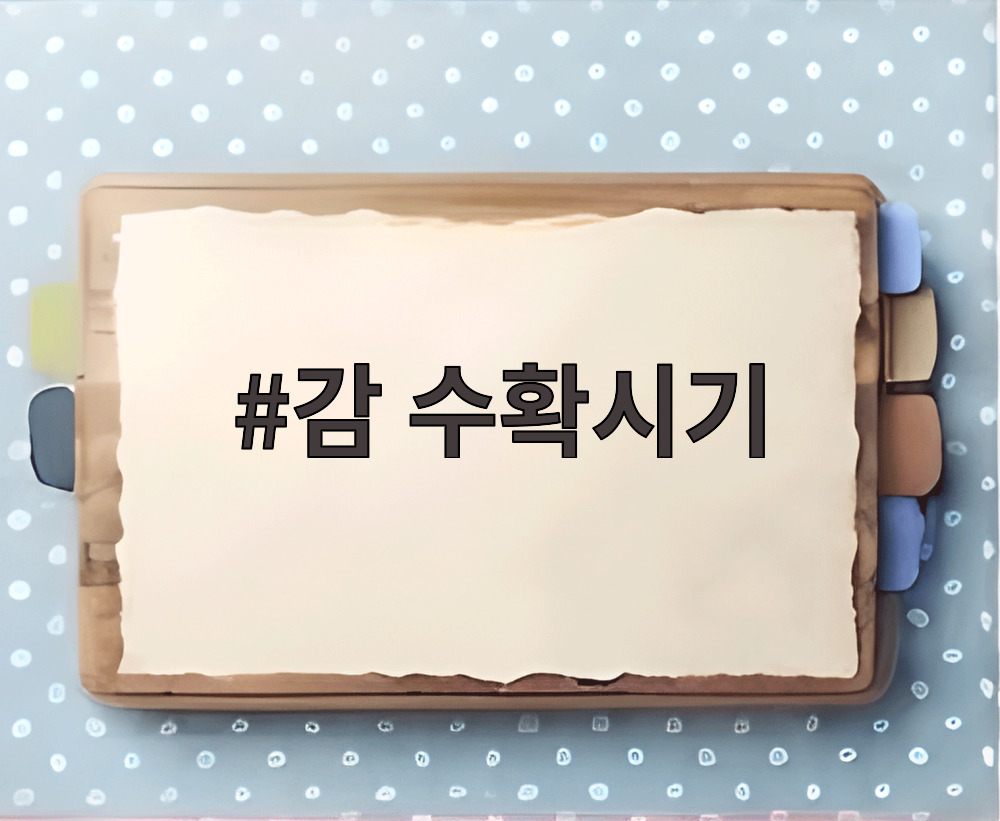 감 수확시기