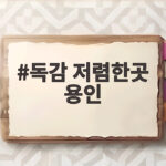 독감 저렴한곳 용인